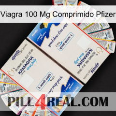 Viagra 100 Mg Tablet Pfizer kamagra1